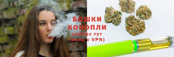стаф Няндома