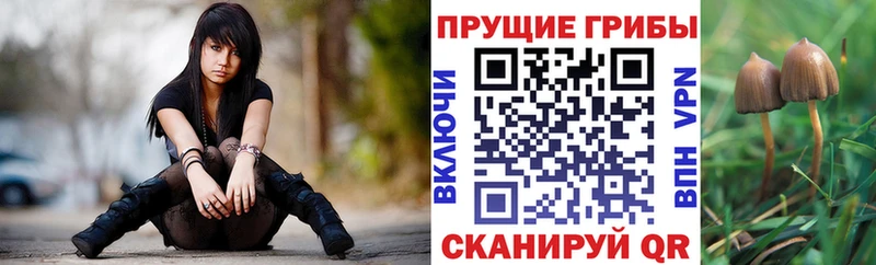 Псилоцибиновые грибы Psilocybe  купить наркотики сайты  Людиново 